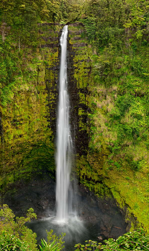 Water Hole Water Hole