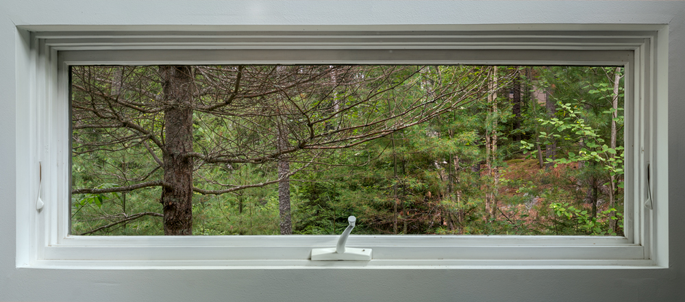 Window