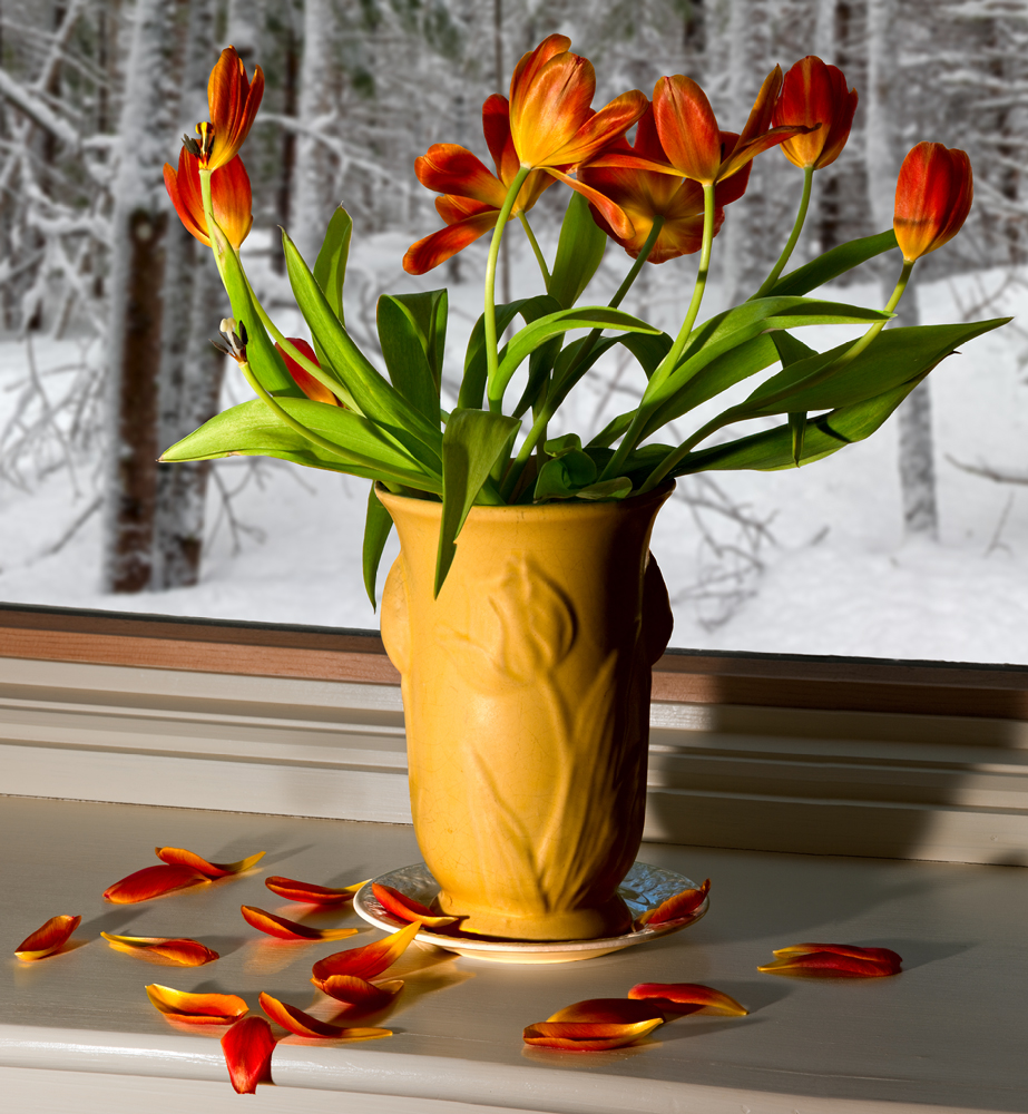 Window Sill