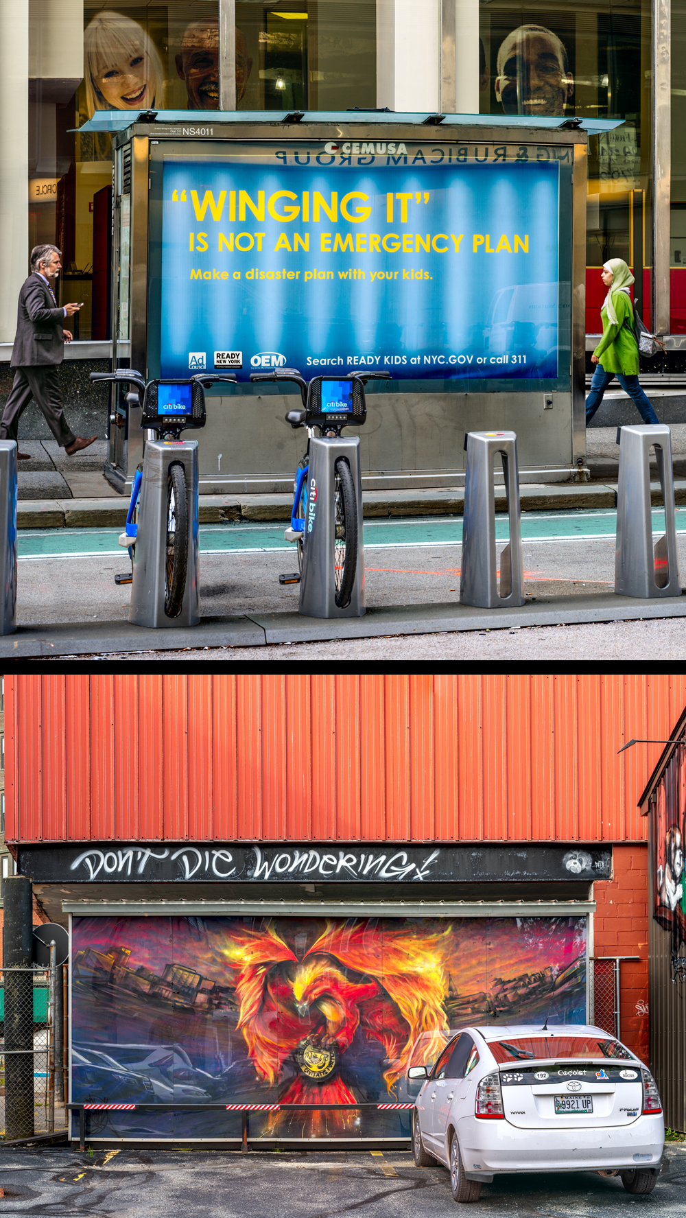 Winging ItDon't Die Wondering