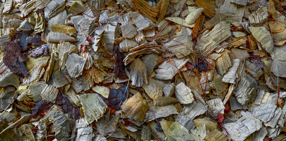 Wood Chips
