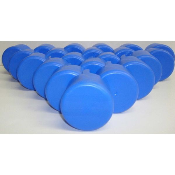 25 Standard Bottle Caps