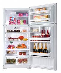 Ge gte17gbcww 17 cu. ft. top mount refrigerator 220 volts