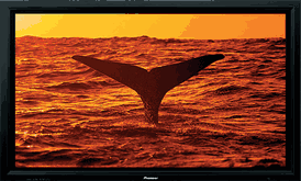 Pioneer pdp-607cmx 60" multi-system plasma