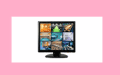 Security monitors 110 to 240 volts