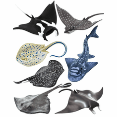 Toy Sealife and Toy Aquatic Figures: Fresh and Salt Water