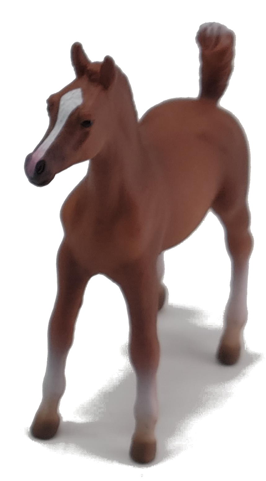 CollectA Thoroughbred Chestnut Foal main image 1
