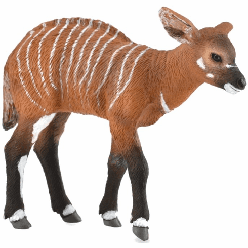 Bongo Calf (CollectA)
