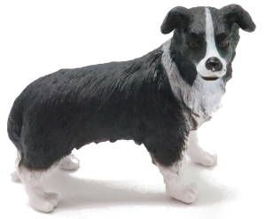 CollectA Border Collie Figur – Realistische Hundefigur, Handbemalt, Ca. 6,5 Cm | Spielzeug Für Kinder, Sammler & Dioramen