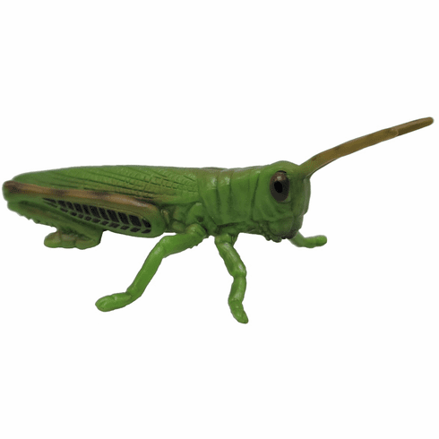 CollectA Wildlife - Grasshopper #88352 - hops high and far
