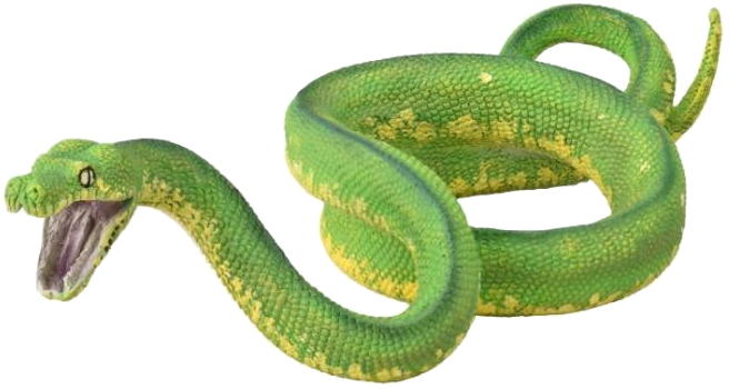 CollectA Green Tree Python #88962 - Stunning Green Paint