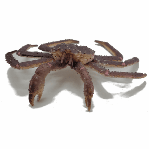 CollectA Marine Life Crab