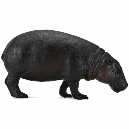 Pygmy Hippopotamus (CollectA)