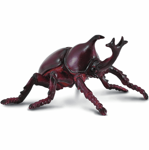 Rhinoceros Beetle (CollectA)