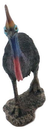 Southern Cassowary (Casuarius Casuarius) Foraging In A Zoo : (pix - Foto 4
