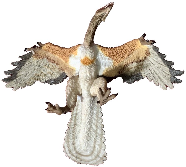 Papo Archaeopteryx 55034 Colorful reissue of retired model