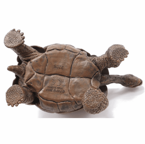 Figurine Animal Tortue Des Galapagos Papo - Modèle 50161 - Neuf En Stock