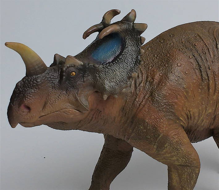 Figurine Centrosaurus (Triceratops) AMITD - Modèle Scientifique Réaliste 16x7.5 Cm, PVC, Collection Dinosaure