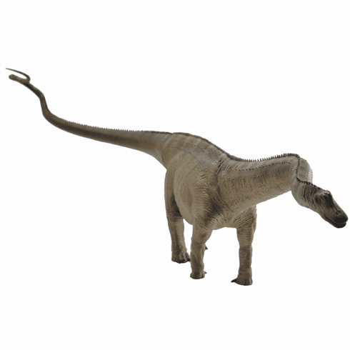 REBOR - Male Diplodocus Carnegii Stargazer #161021 Poses!