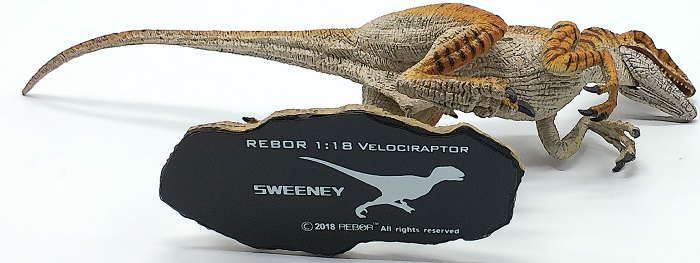 REBOR - Velociraptor Sweeney #160420 - Unique Tiger Stripes