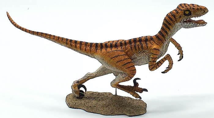 REBOR - Velociraptor Sweeney #160420 - Unique Tiger Stripes