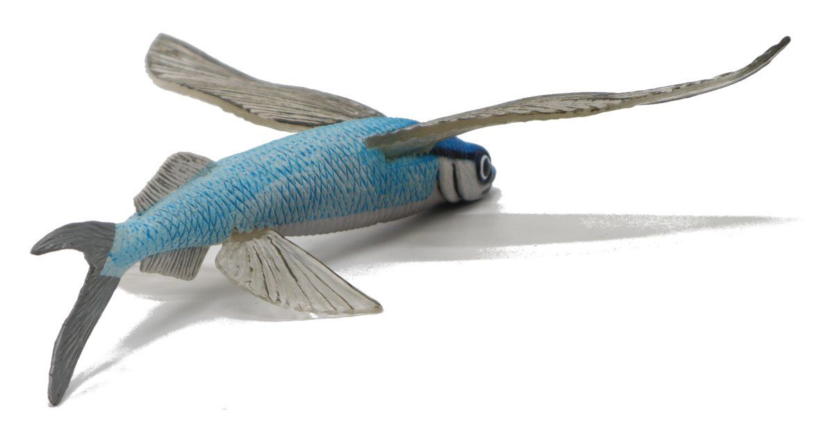 Safari Ltd. Flying Fish 263529 Incredible Creatures