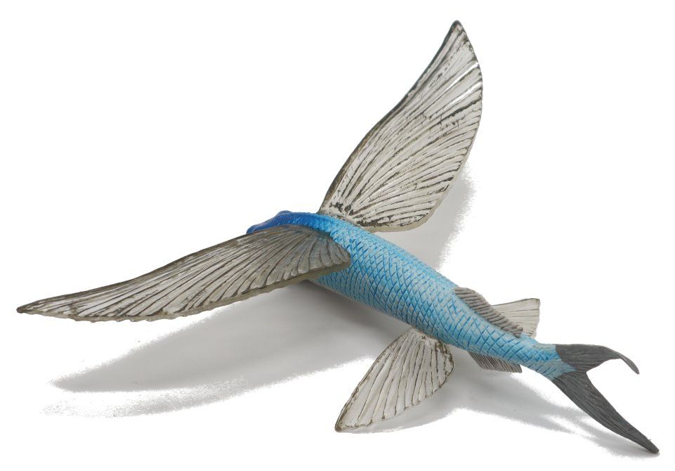 Safari Ltd. Flying Fish #263529 - Incredible Creatures