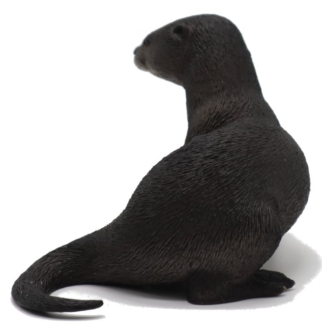 Safari Ltd. Fischotter Figur – 14 Cm Lang, Detailgetreu, Aus PVC, Für Kinder Ab 3 Jahren