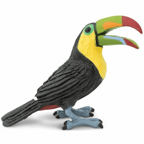 Toucan (Safari Ltd.)