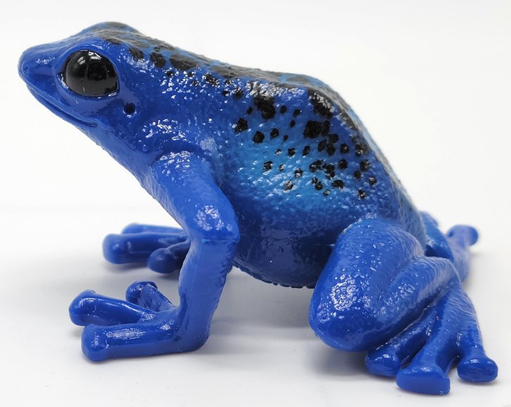 Schleich Blue Poison Dart Frog 14864 Non Toxic Toy Version