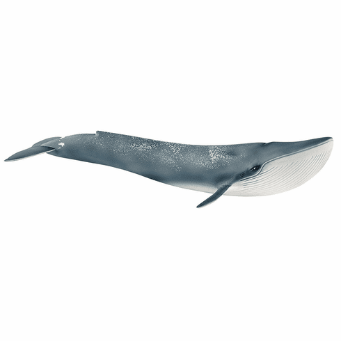 Blue Whale (Schleich)