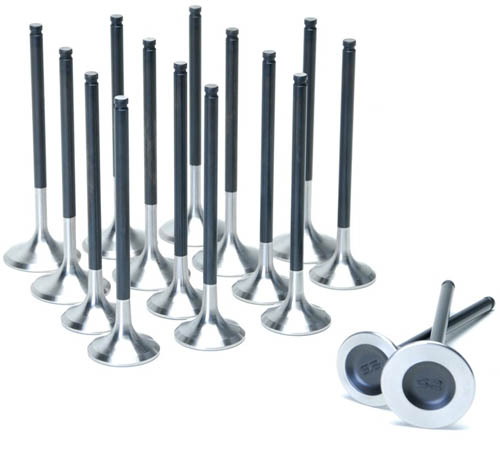 SKUNK2 ALPHA SERIES VALVES STOCK SIZE HIGH COMPRESSION HONDA H-SERIES VTEC main image 1