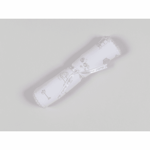 Kissy Kissy Parisian Stroll Print Burp F18PS30P