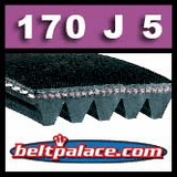 776i BELT, DRIVE, 365J 16 POLY V - Fitness Parts Direct