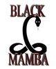 "Black Mamba" Cam & Springs Kit