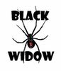 "Black Widow" Cam & Springs Kit