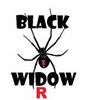 "Black Widow-R" Cam