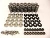 Brian Tooley Valve Spring Kit