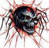 "Hell-Widow" Cam