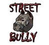 "Street Bully" Cam