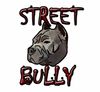 "Street Bully" Cam & Springs Kit