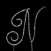 Renaissance ~ Swarovski Crystal Wedding Cake Topper ~ Silver Letter N