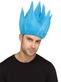 Adult Anime Character Wig