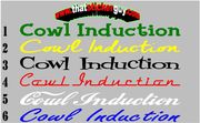 Cowl Induction hood stickers