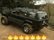 Customers jeep stickers