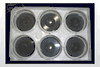 BioPress&#8482 Compression Plates