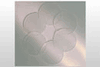 StageFlexer<sup>&reg;</sup> and Inverted StageFlexer<sup>&reg;</sup> Membranes