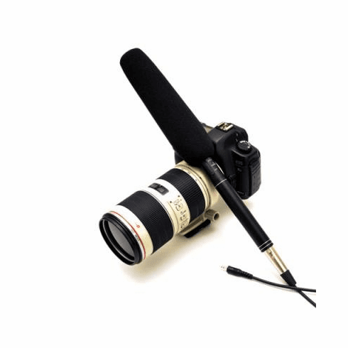 Digital Camera Microphone
