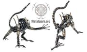 ALIEN  WARRIOR M
