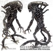 ALIEN WARRIOR XL-1